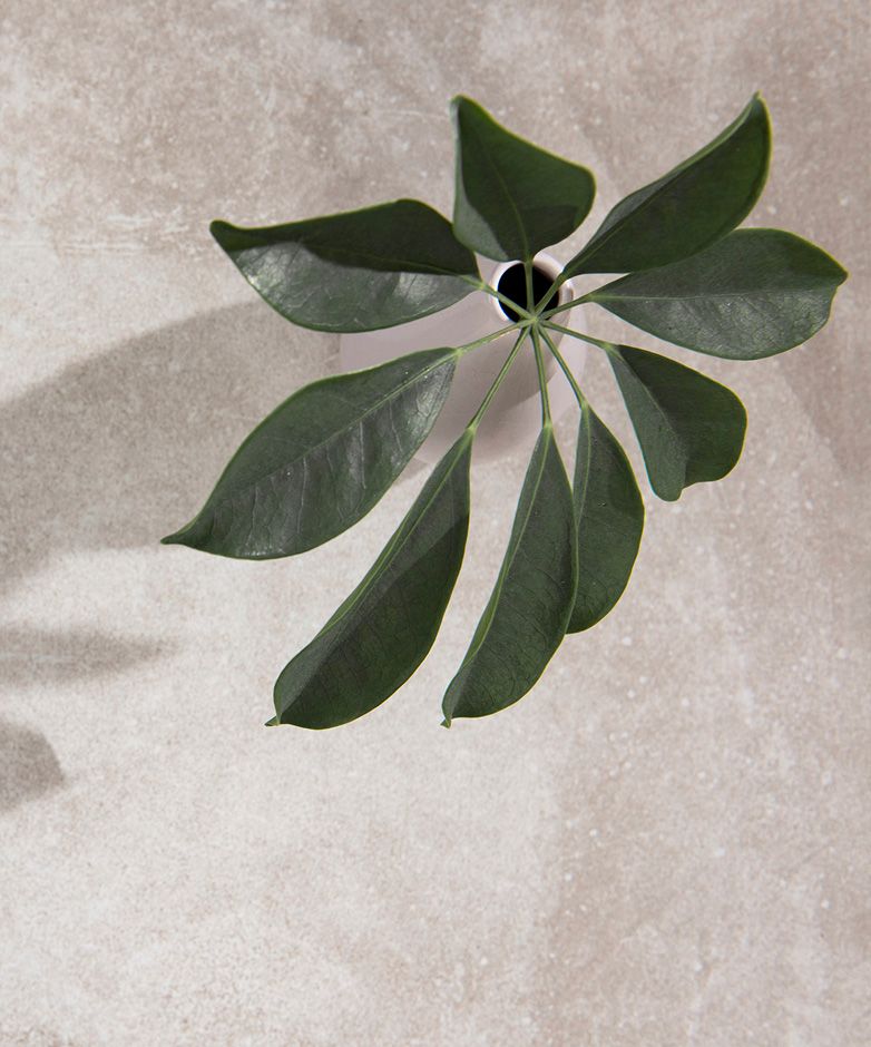 Our philosophy. Ilu Hub - Natural & Organic Skin Care Products & Makeup